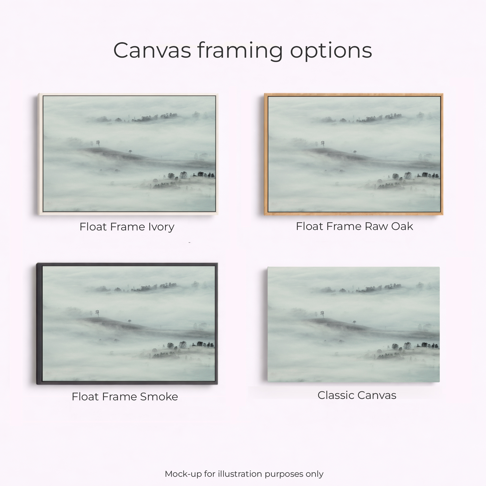 Border Ranges National Park - Foggy Tweed Valley - Image 3