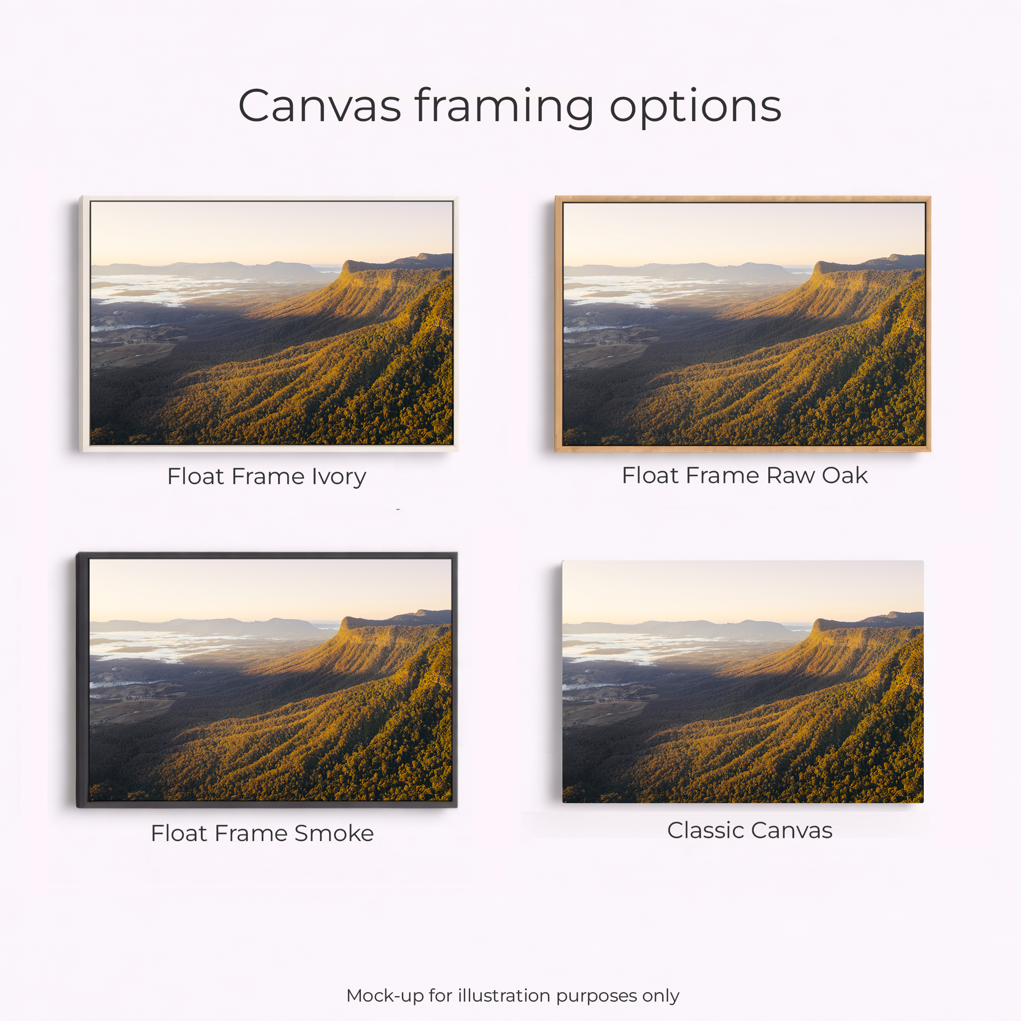 Border Ranges National Park - Pinnacle Lookout - Image 3