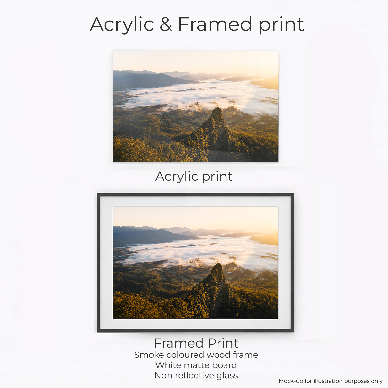 Border Ranges National Park - Cloudy Sunrise - Image 2