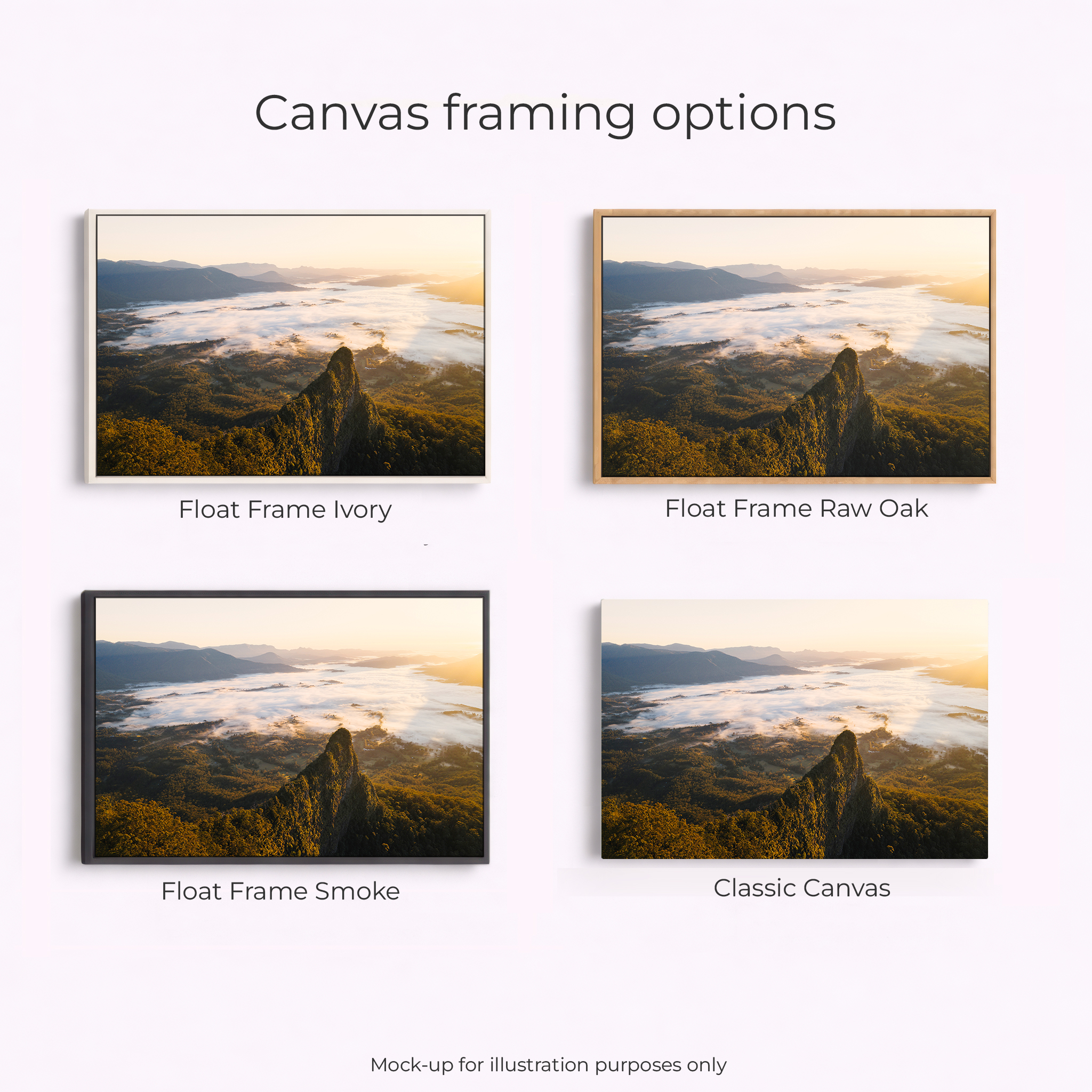 Border Ranges National Park - Cloudy Sunrise - Image 3