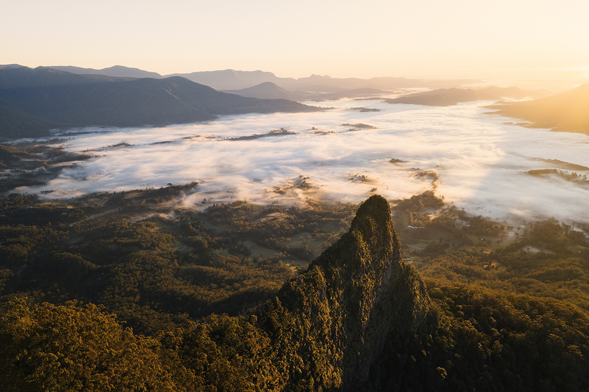 Border Ranges National Park - Cloudy Sunrise