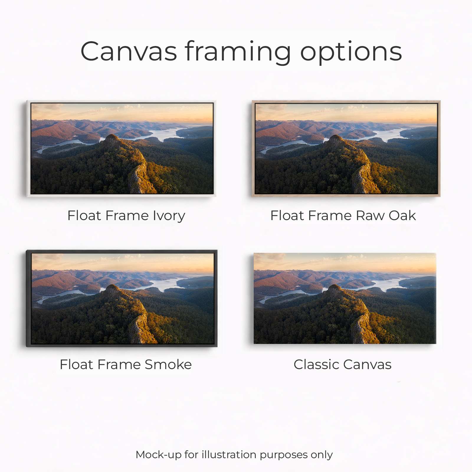 Springbrook National Park - Pages Pinnacle - Image 3