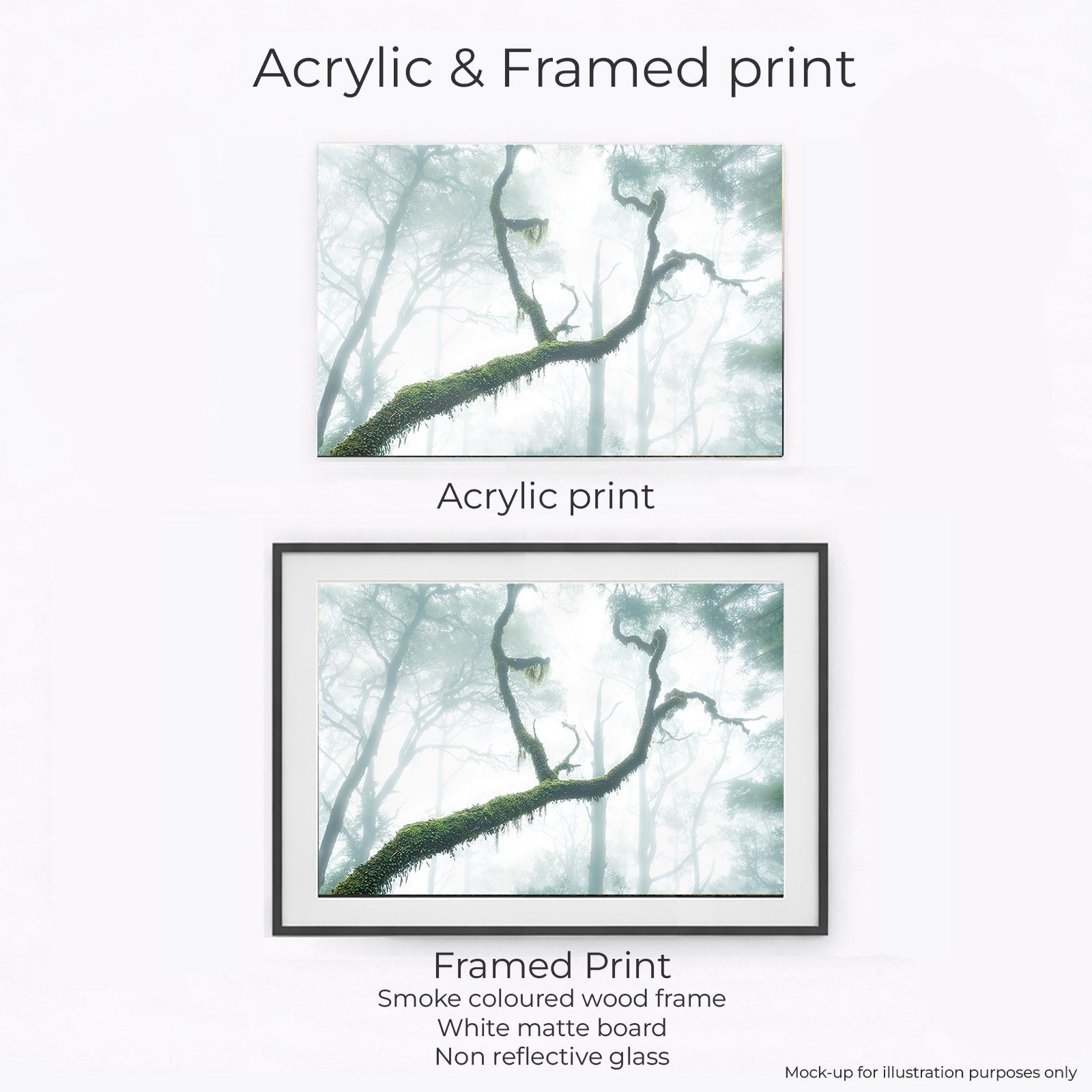 Northern Tablelands - New England National Park - Image 2