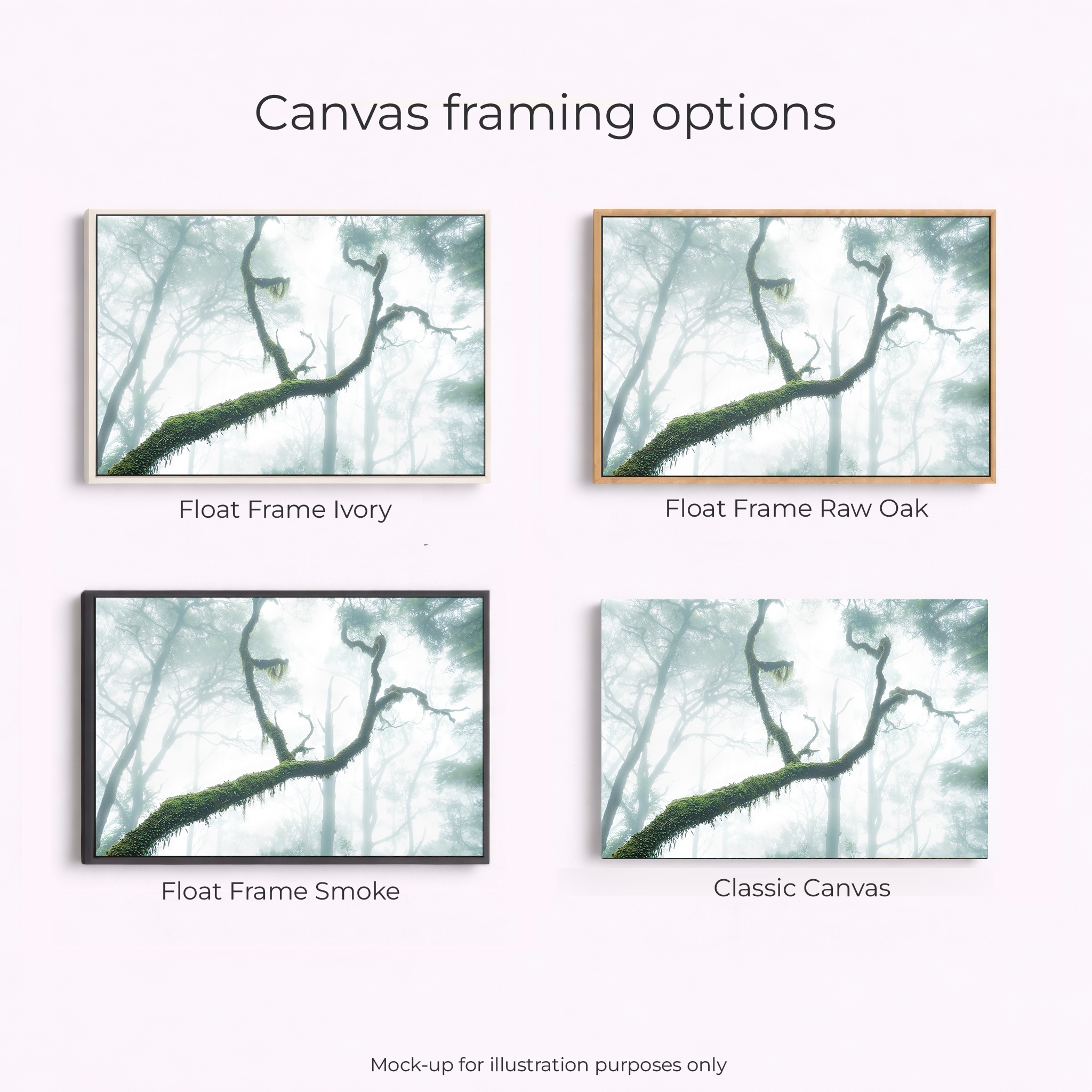 Northern Tablelands - New England National Park - Image 3