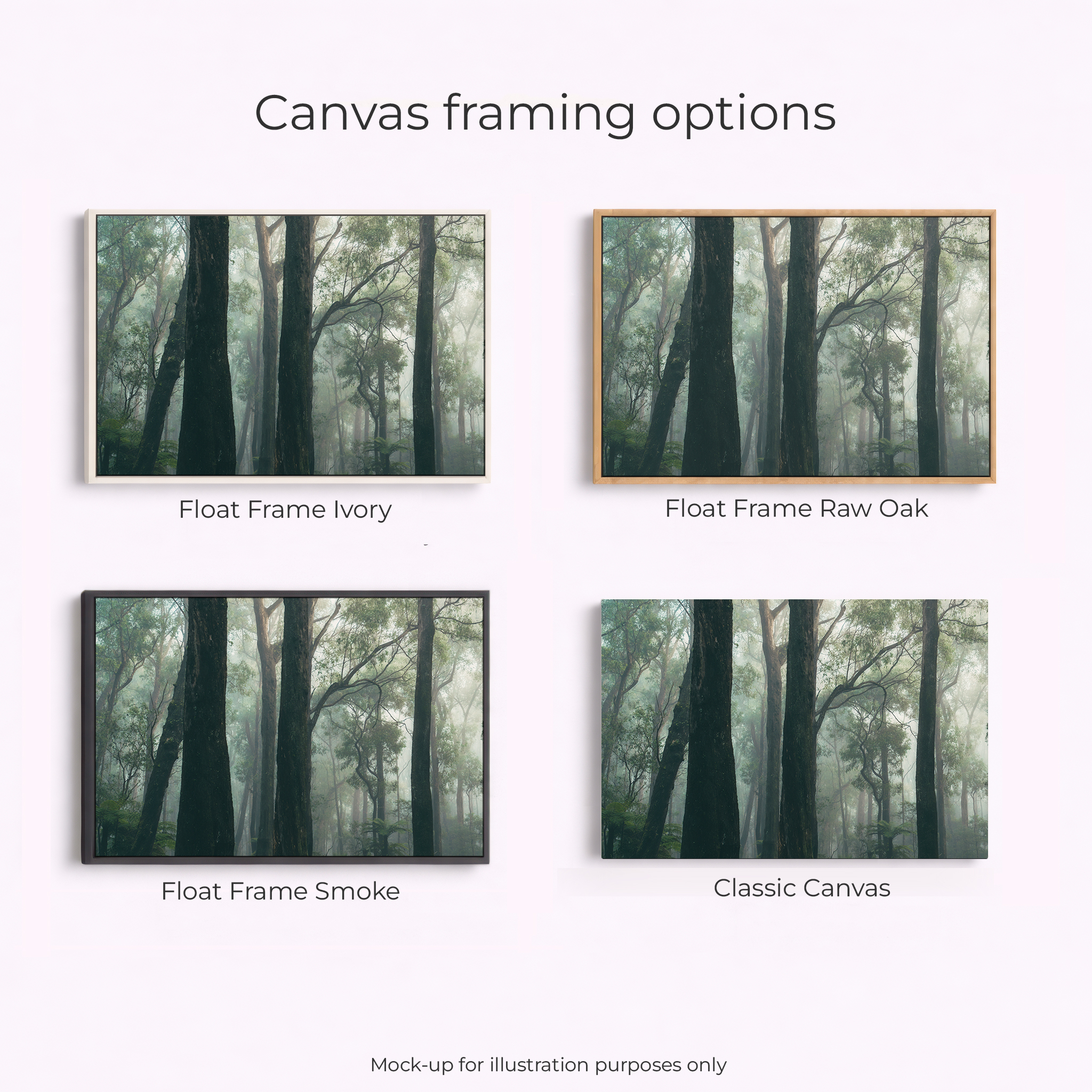 Yarra Ranges - Moody Trees - Image 3