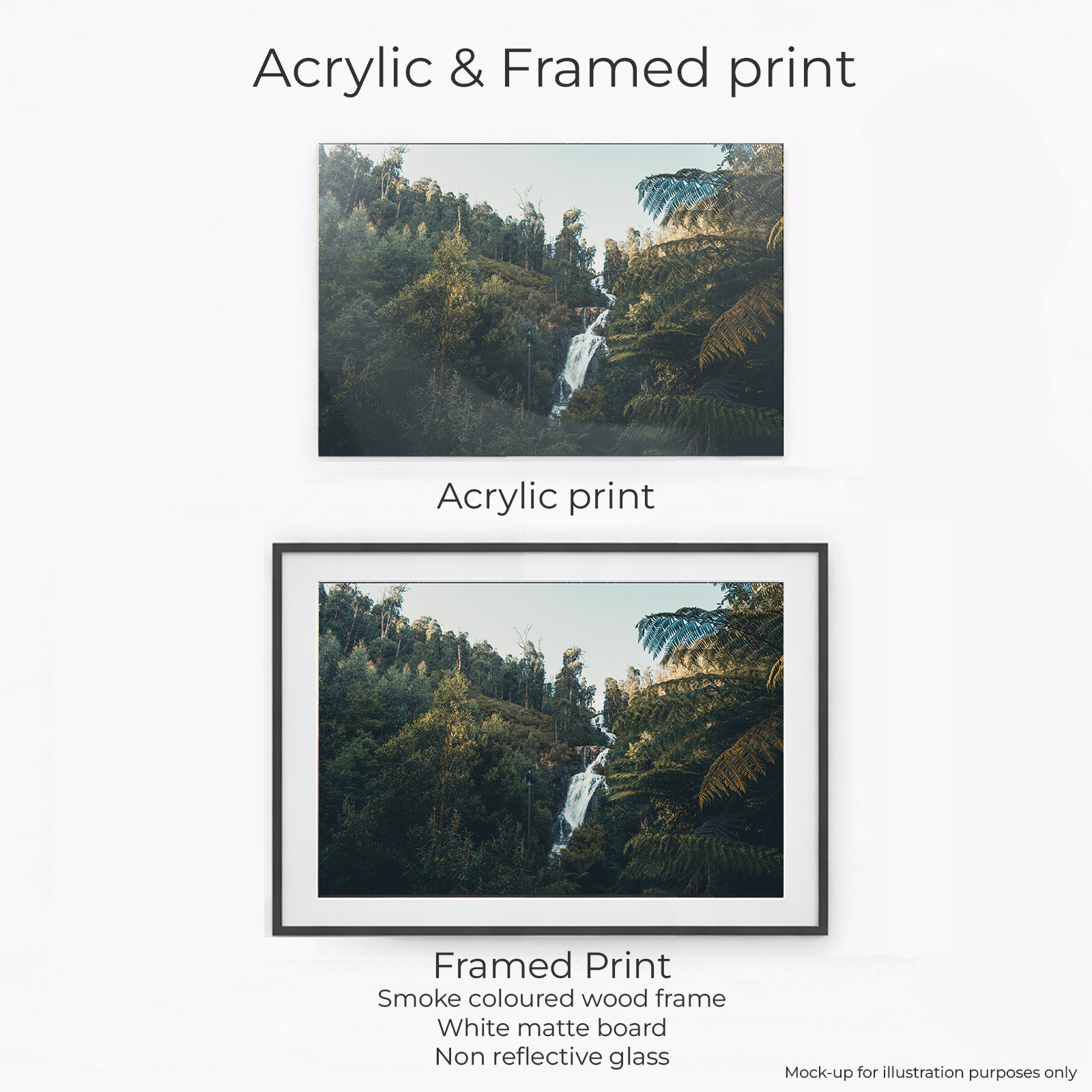 Yarra Ranges - Steavenson Falls - Image 2