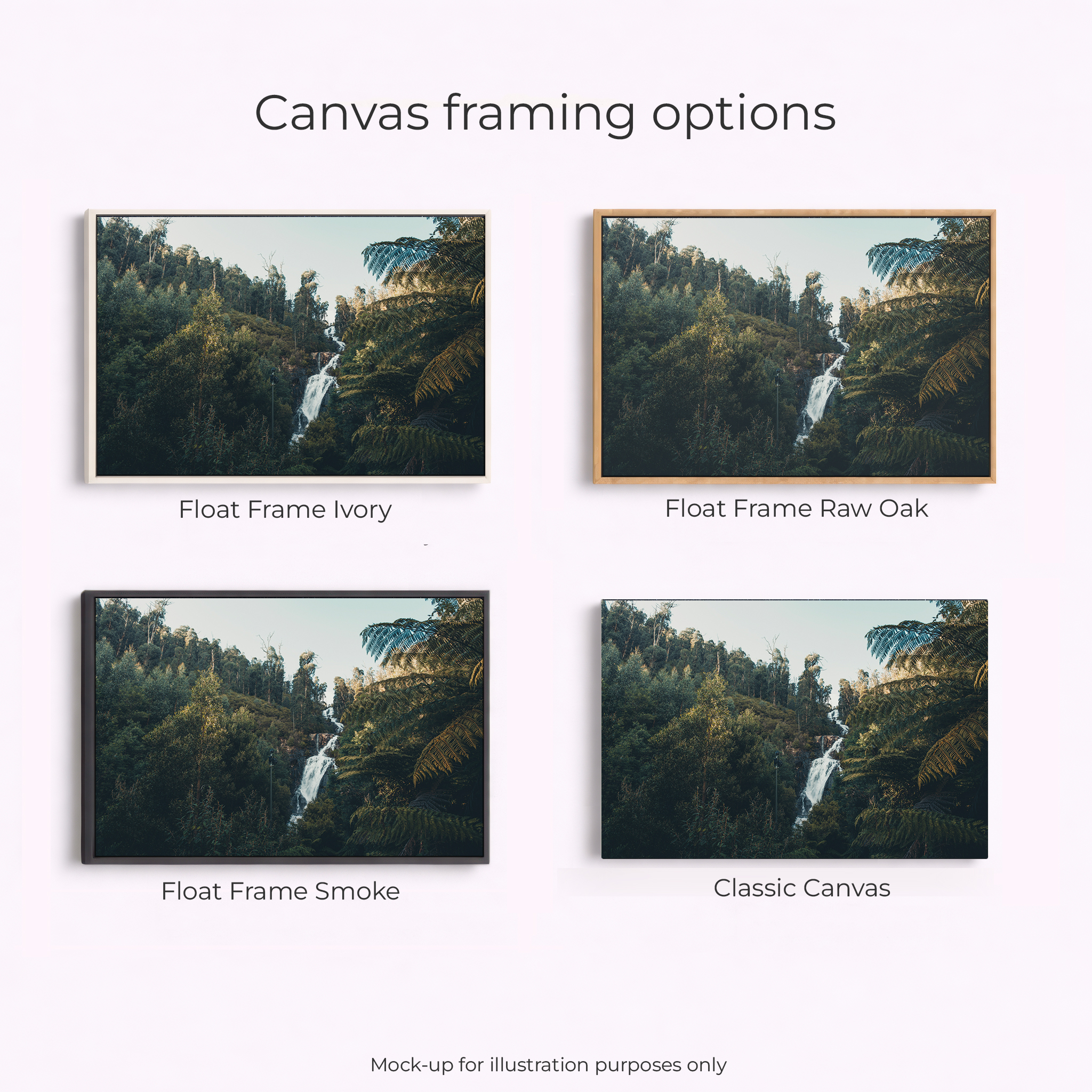 Yarra Ranges - Steavenson Falls - Image 3