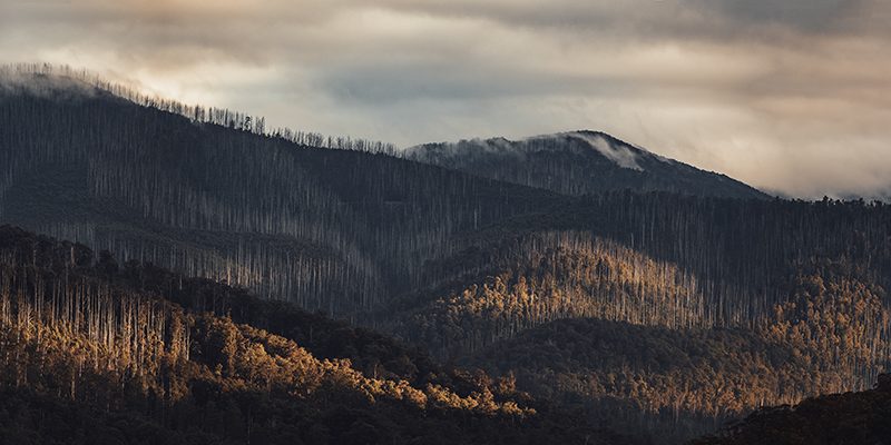 Yarra Ranges - Warburton