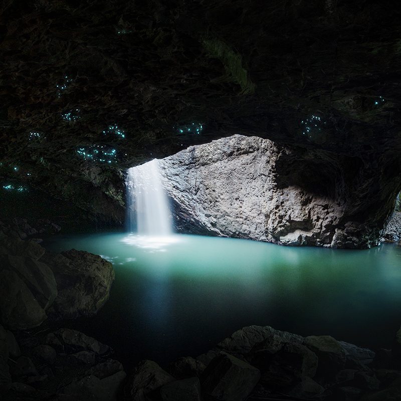 Springbrook National Park - Natural Bridge glow worms